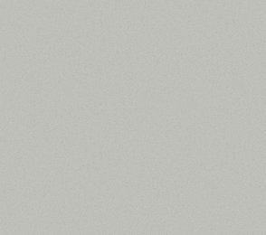 Vinüülseinakate Vescom Nero 1024.44 hall