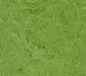 Linoleum Gerflor DLW Linodur 1011 AVOCADO GREEN roheline
