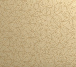 Akustiline PVC Gerflor Taralay Initial Acoustic 0954 SPIDER DORE pruun