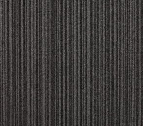 Plaatvaip Paragon CODEC Axis 8181 pruun