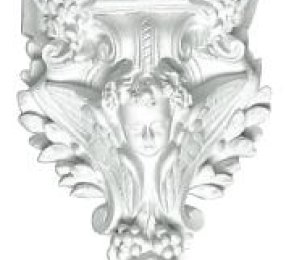 C25 